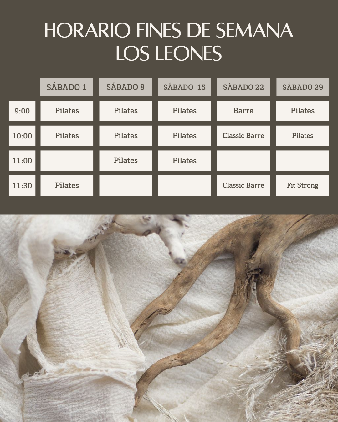 LOS LEONES - TRIMESTRAL - 3 VECES SEMANA - LOS LEONES