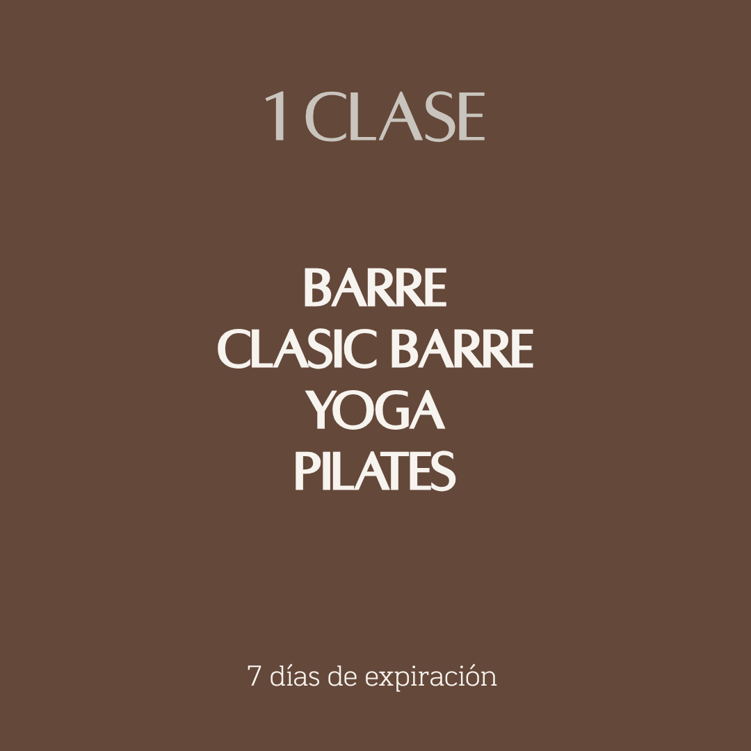 LOS LEONES - 1 CLASE