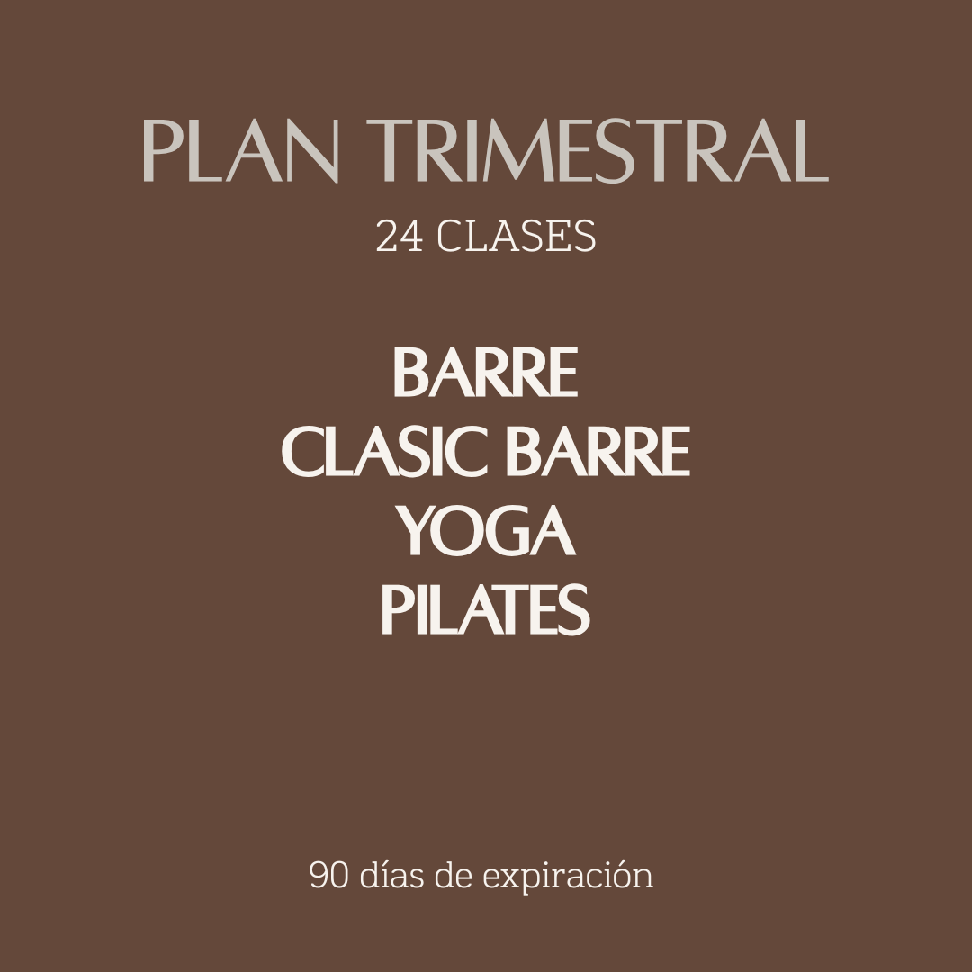 LOS LEONES - TRIMESTRAL - 24 CLASES